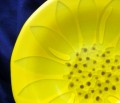 Sunflower Silhouette Bowl - Private Event