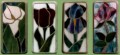 CKE - CALLA LILY/IRIS/TULIP/ROSE